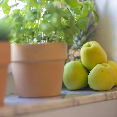 Boardinghouse - Adults Only - 3* Kostnice