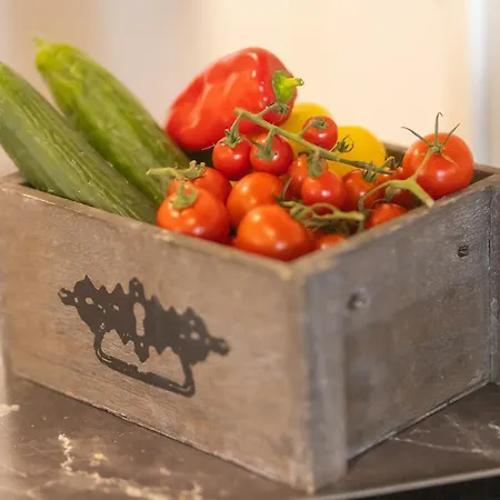 Boardinghouse - Adults Only - Aparthotel Kostnice