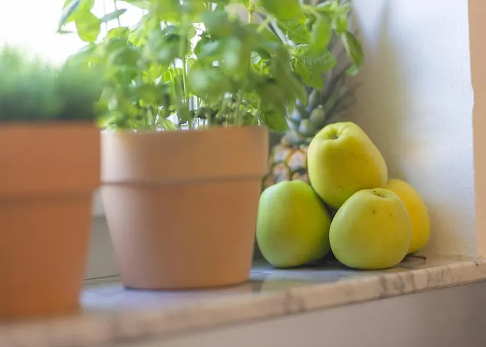 Boardinghouse - Adults Only - 3* Constanza